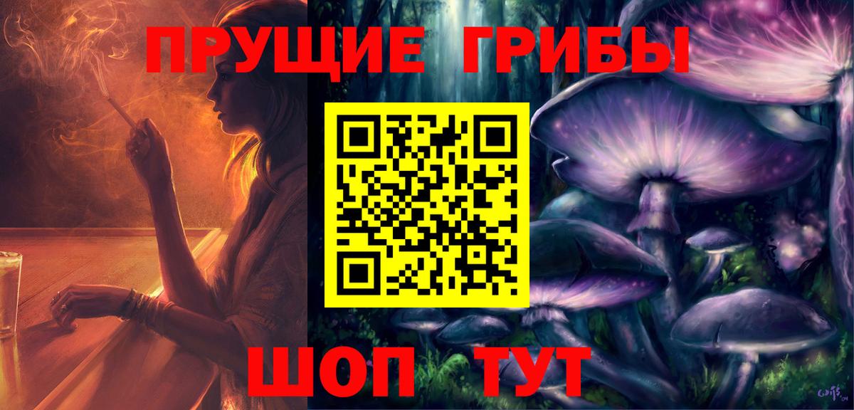 Баксан  Псилоцибиновые грибы Magic Shrooms  Вход с VPN 